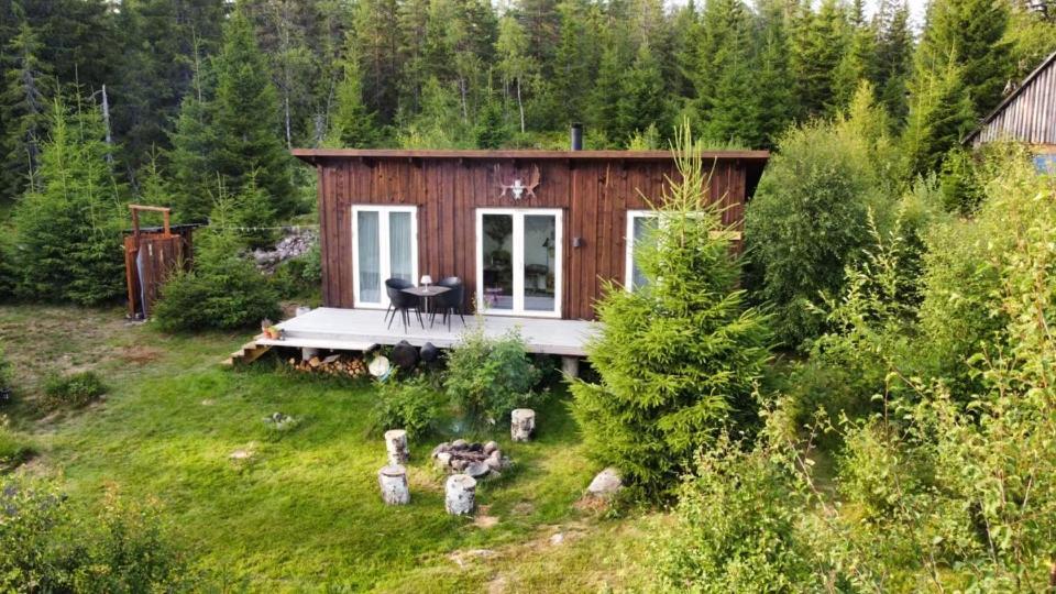 Cozy Forest Cabin With Amazing Mountain View Torsby Exterior photo